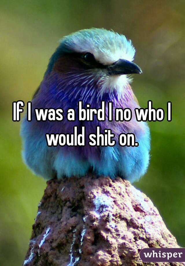 If I was a bird I no who I would shit on. 