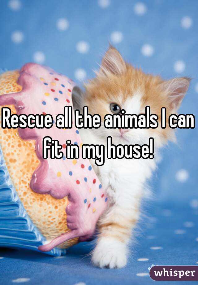 Rescue all the animals I can fit in my house! 