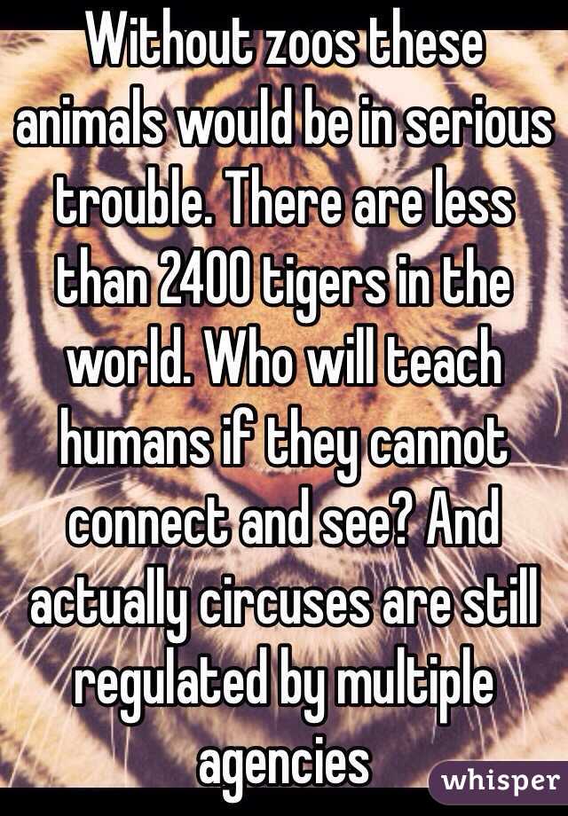 Without zoos these animals would be in serious trouble. There are less than 2400 tigers in the world. Who will teach humans if they cannot connect and see? And actually circuses are still regulated by multiple agencies