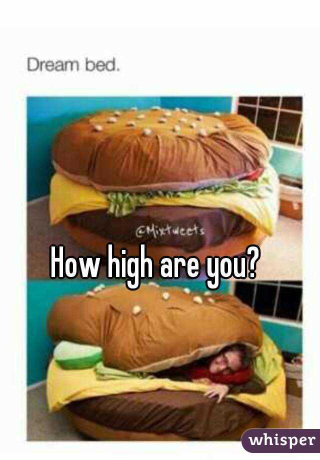 How high are you?