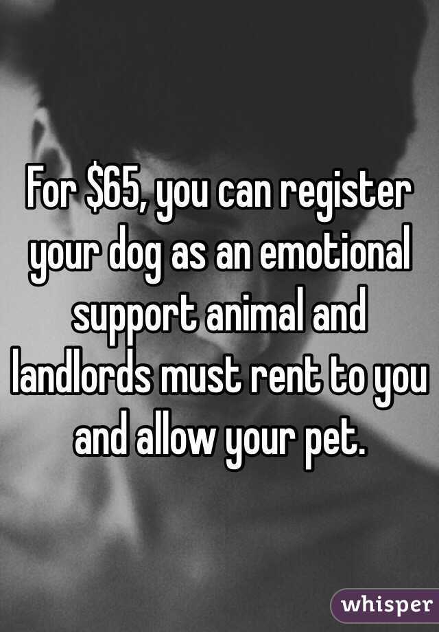 For $65, you can register your dog as an emotional support animal and landlords must rent to you and allow your pet. 