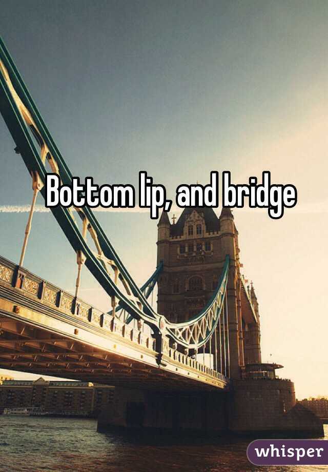 Bottom lip, and bridge 