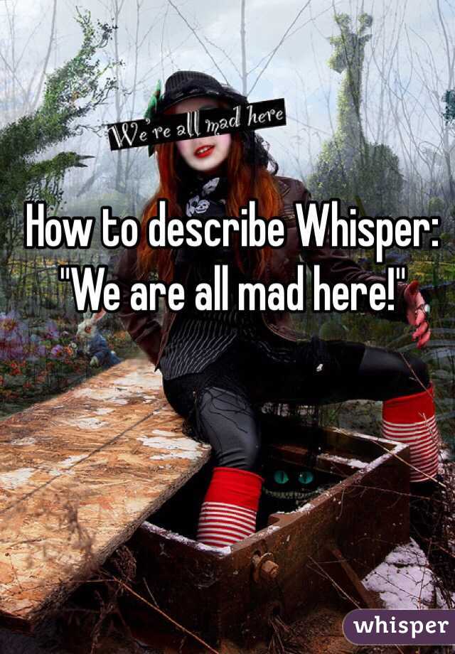 How to describe Whisper: "We are all mad here!"