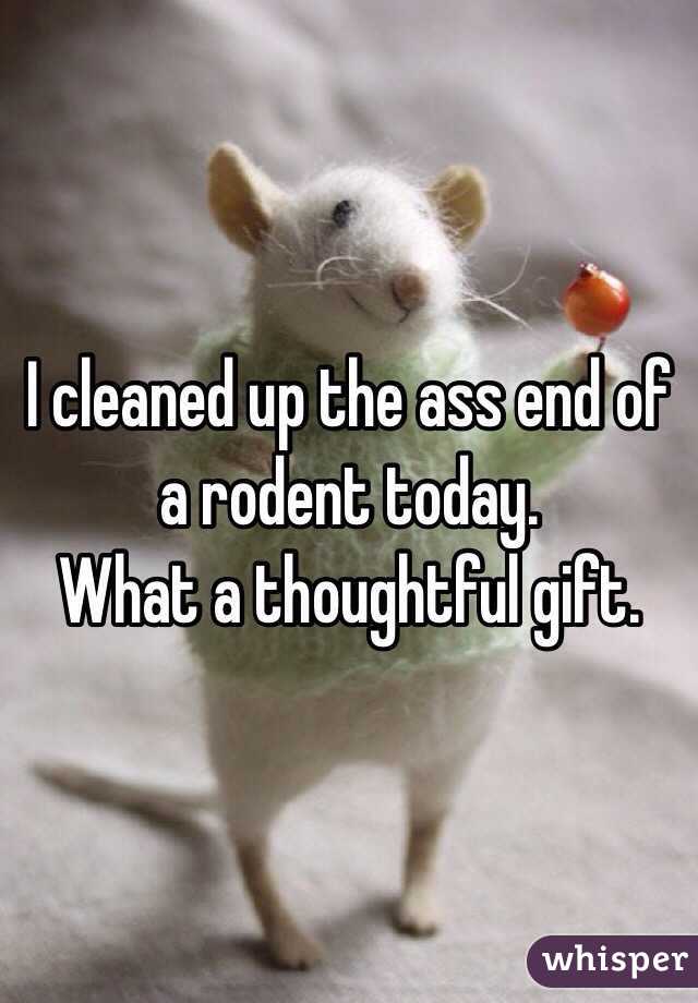 I cleaned up the ass end of a rodent today. 
What a thoughtful gift.
