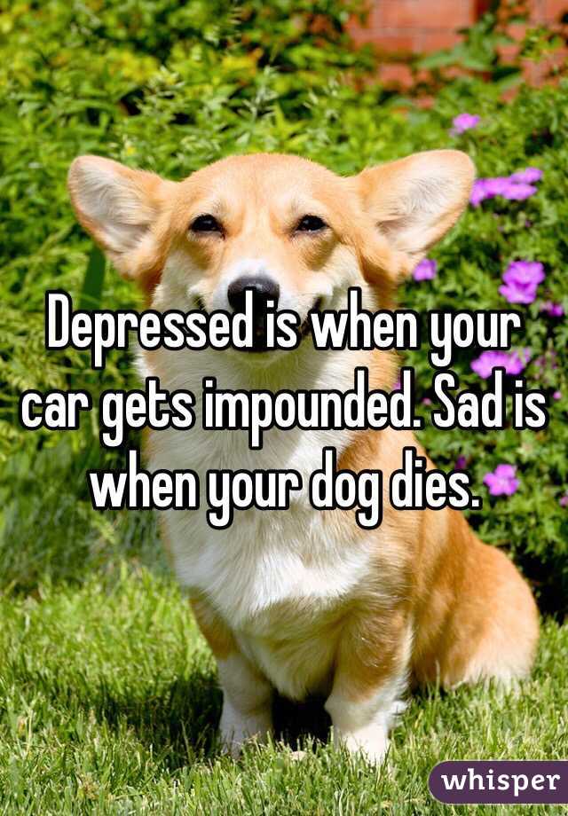 Depressed is when your car gets impounded. Sad is when your dog dies. 