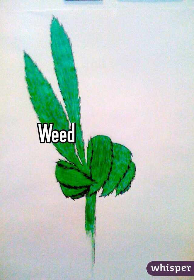 Weed

