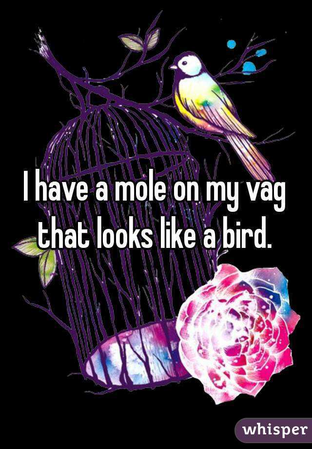 I have a mole on my vag that looks like a bird. 