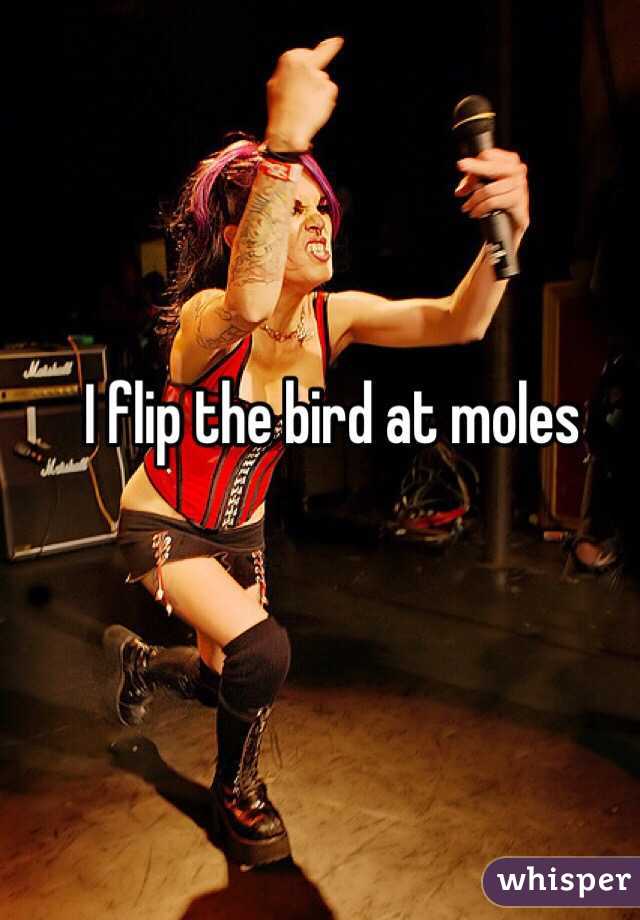 I flip the bird at moles