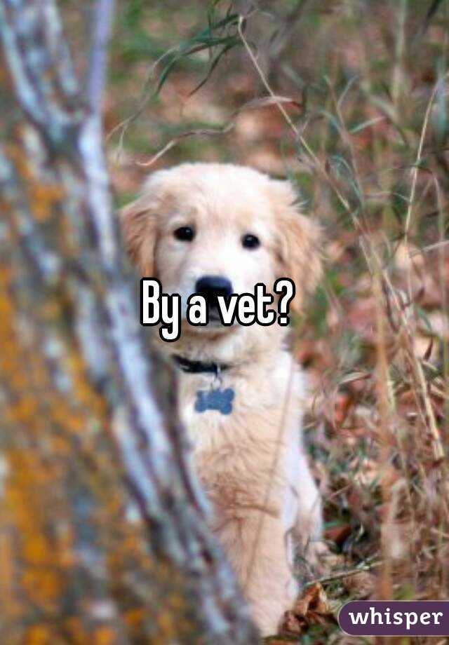 By a vet? 