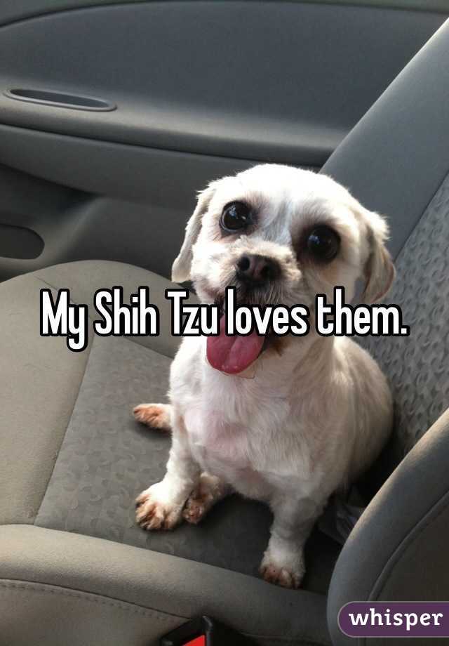 My Shih Tzu loves them. 