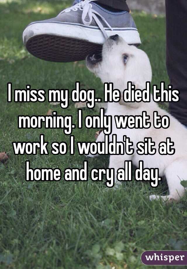 I miss my dog.. He died this morning. I only went to work so I wouldn't sit at home and cry all day. 