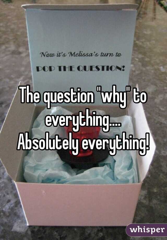 The question "why" to everything....
Absolutely everything!