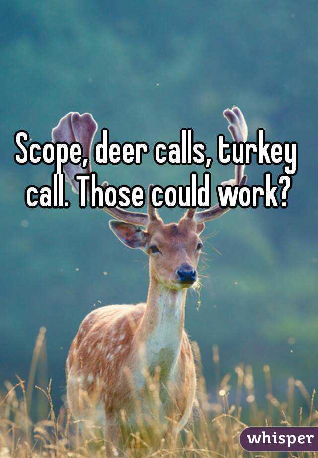 Scope, deer calls, turkey call. Those could work?