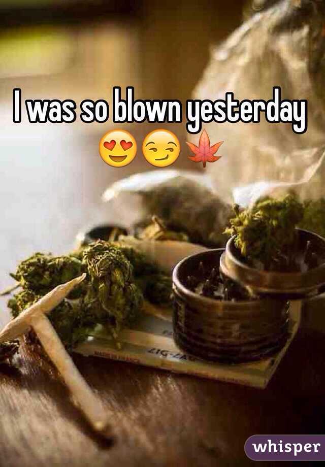 I was so blown yesterday 😍😏🍁