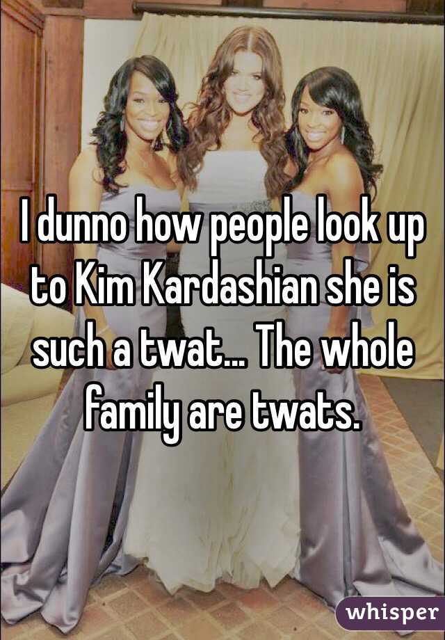 I dunno how people look up to Kim Kardashian she is such a twat... The whole family are twats. 