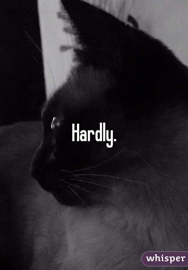 Hardly. 