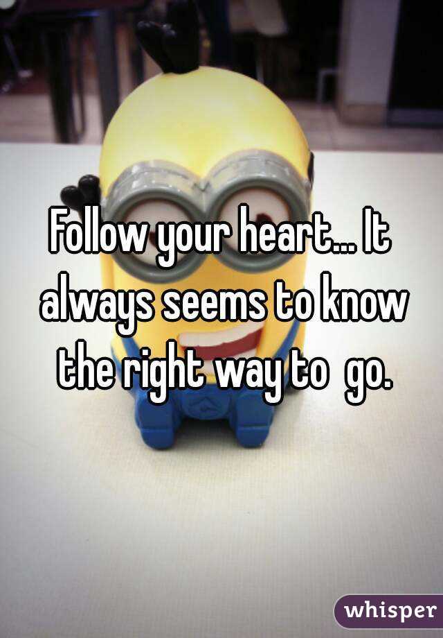Follow your heart... It always seems to know the right way to  go.