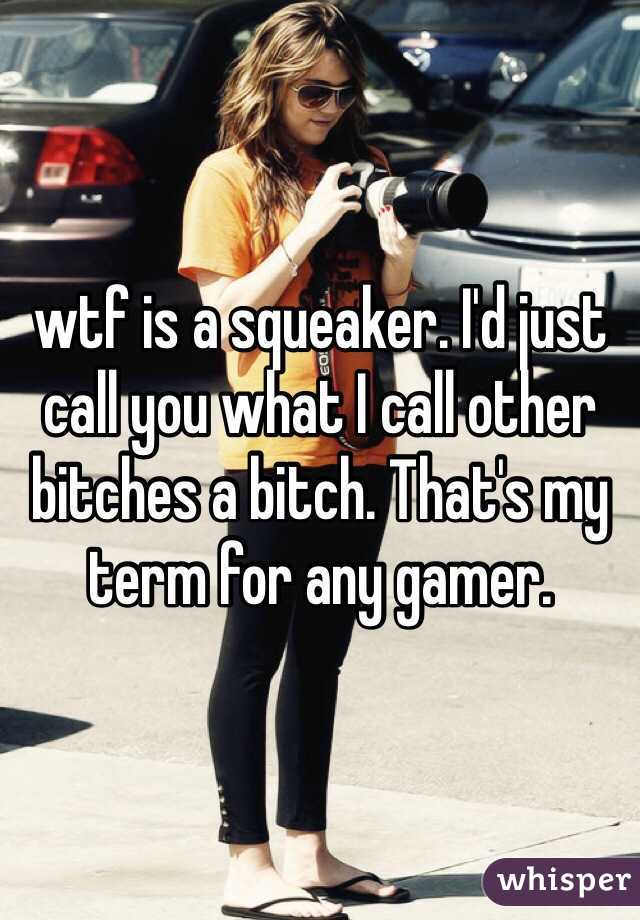 wtf is a squeaker. I'd just call you what I call other bitches a bitch. That's my term for any gamer. 