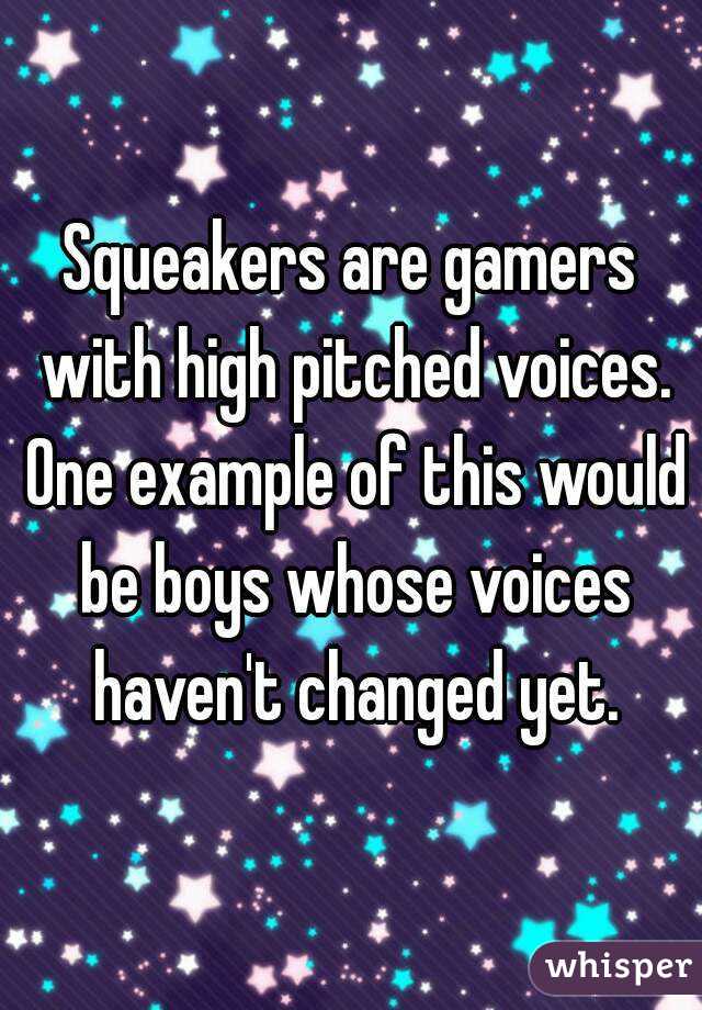 Squeakers are gamers with high pitched voices. One example of this would be boys whose voices haven't changed yet.