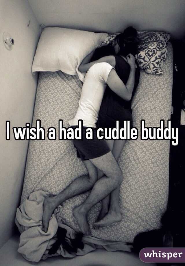 I wish a had a cuddle buddy 