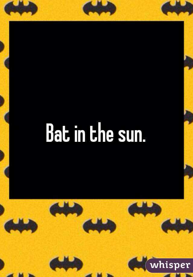 Bat in the sun.