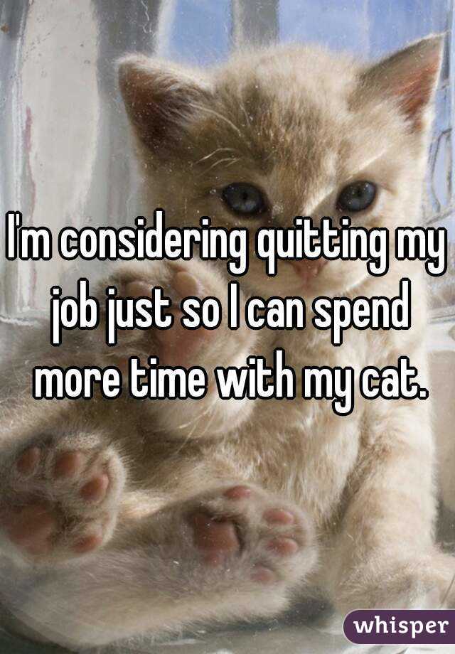 I'm considering quitting my job just so I can spend more time with my cat.
