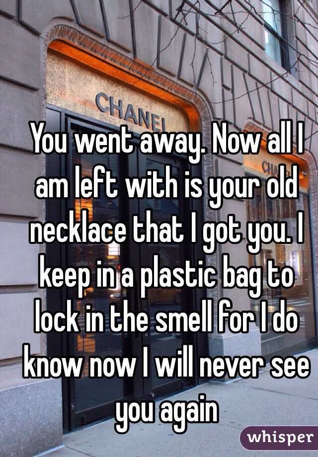 You went away. Now all I am left with is your old necklace that I got you. I keep in a plastic bag to lock in the smell for I do know now I will never see you again 