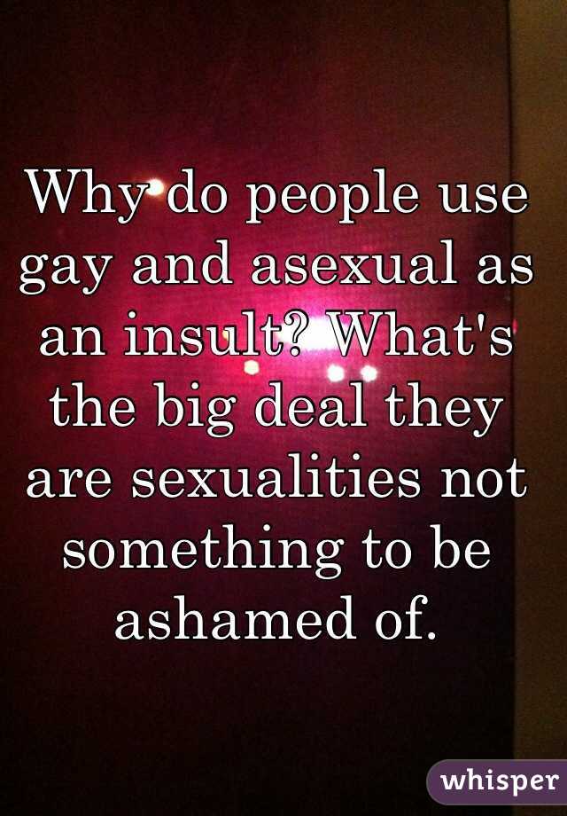 Why do people use gay and asexual as an insult? What's the big deal they are sexualities not something to be ashamed of. 