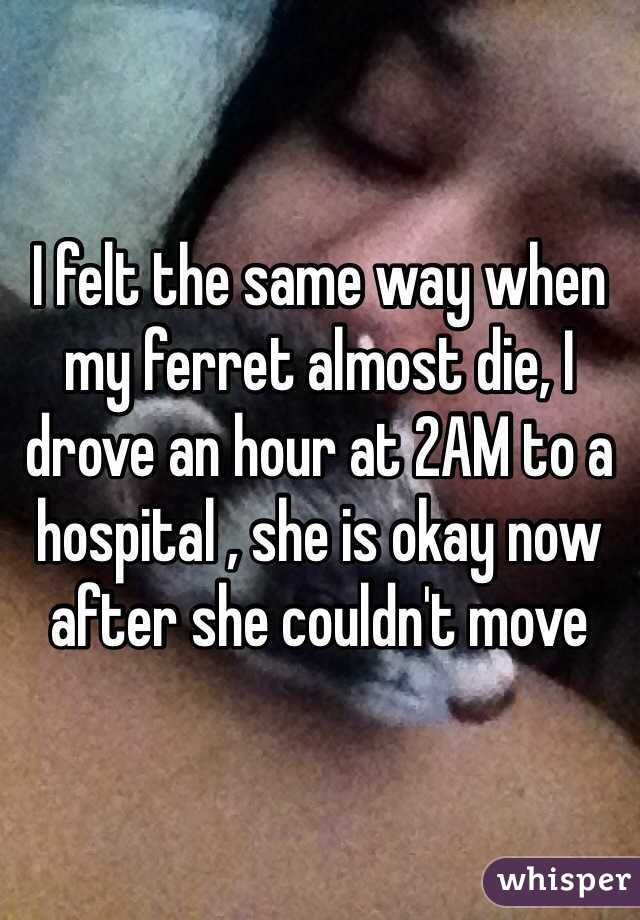 I felt the same way when my ferret almost die, I drove an hour at 2AM to a hospital , she is okay now after she couldn't move 