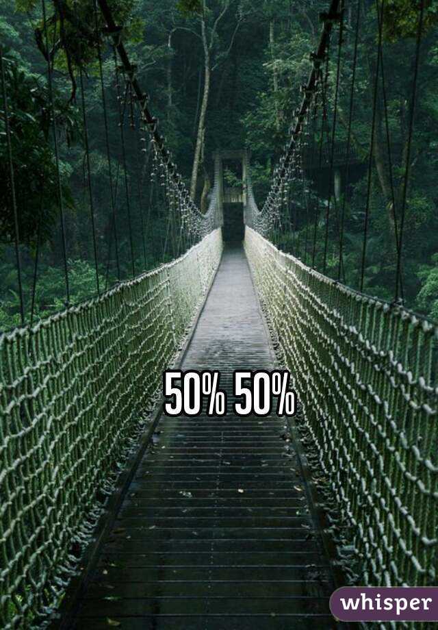 50% 50%