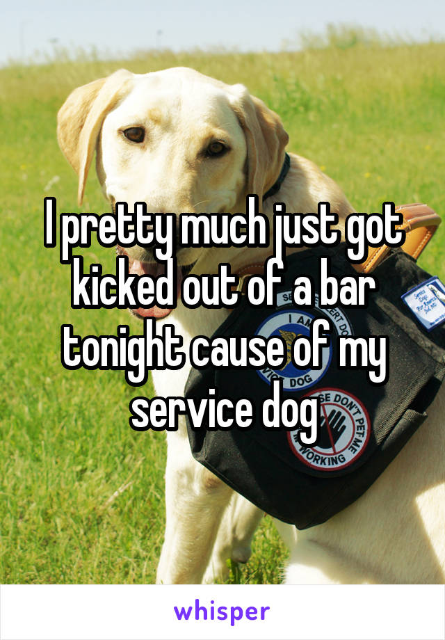 I pretty much just got kicked out of a bar tonight cause of my service dog