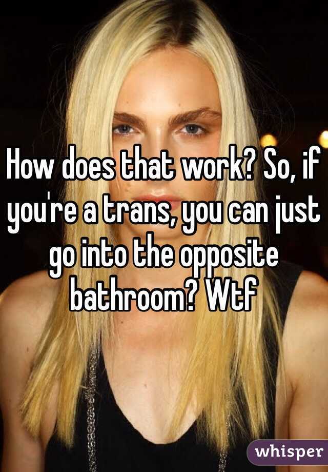 How does that work? So, if you're a trans, you can just go into the opposite bathroom? Wtf