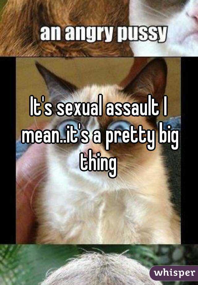 It's sexual assault I mean..it's a pretty big thing 