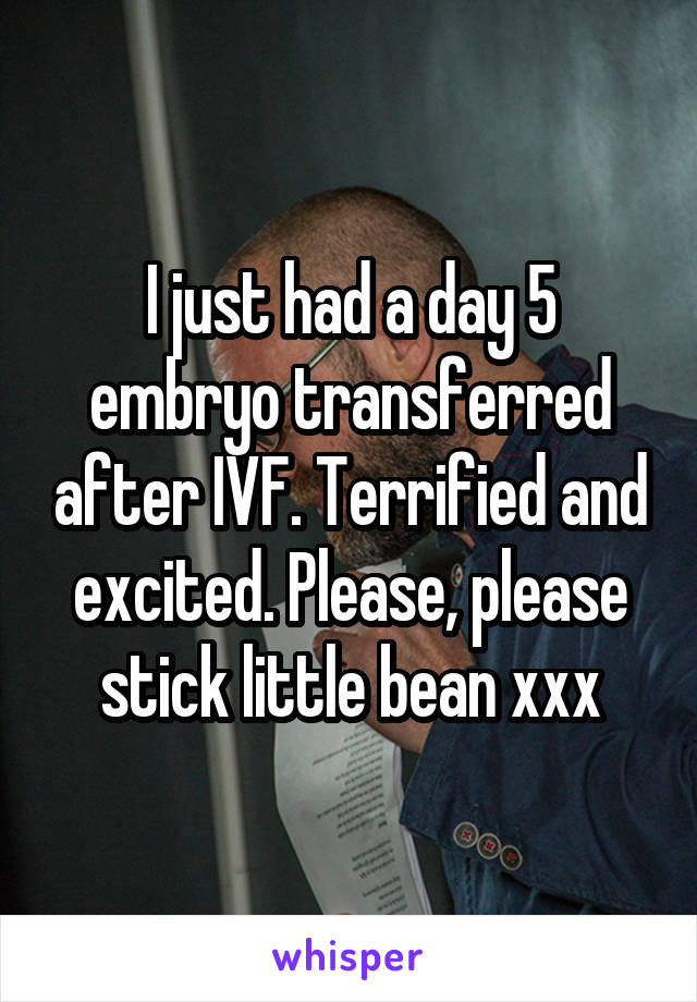I just had a day 5 embryo transferred after IVF. Terrified and excited. Please, please stick little bean xxx
