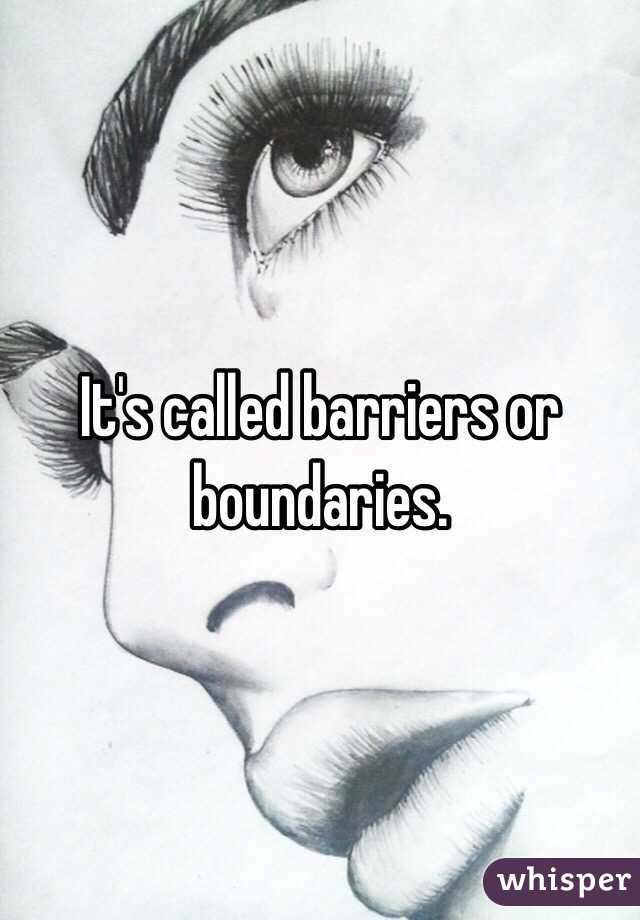 It's called barriers or boundaries. 