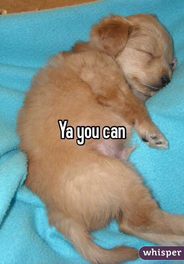 Ya you can