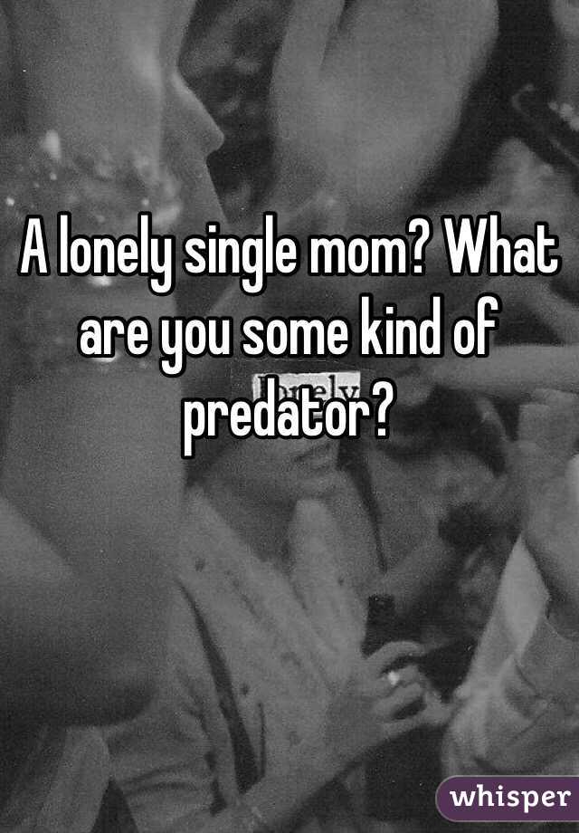 A lonely single mom? What are you some kind of predator?


