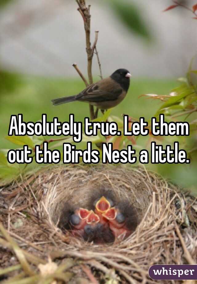 Absolutely true. Let them out the Birds Nest a little.