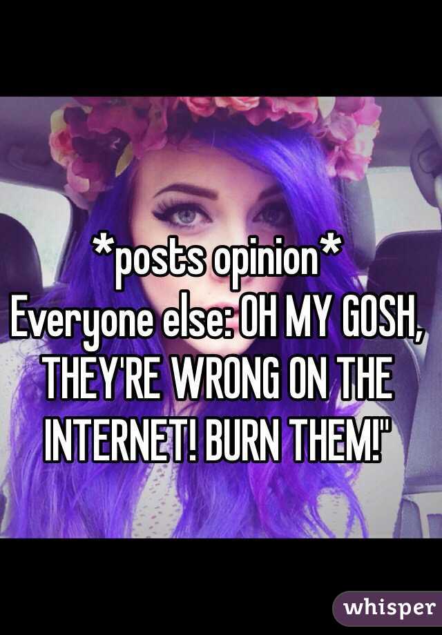 *posts opinion* 
Everyone else: OH MY GOSH, THEY'RE WRONG ON THE INTERNET! BURN THEM!" 