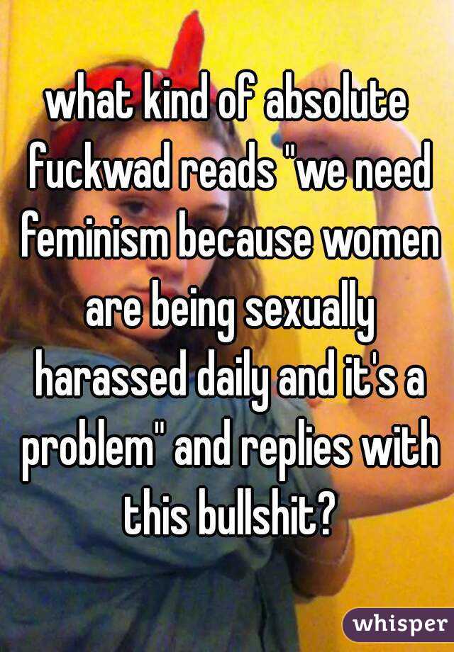 what kind of absolute fuckwad reads "we need feminism because women are being sexually harassed daily and it's a problem" and replies with this bullshit?