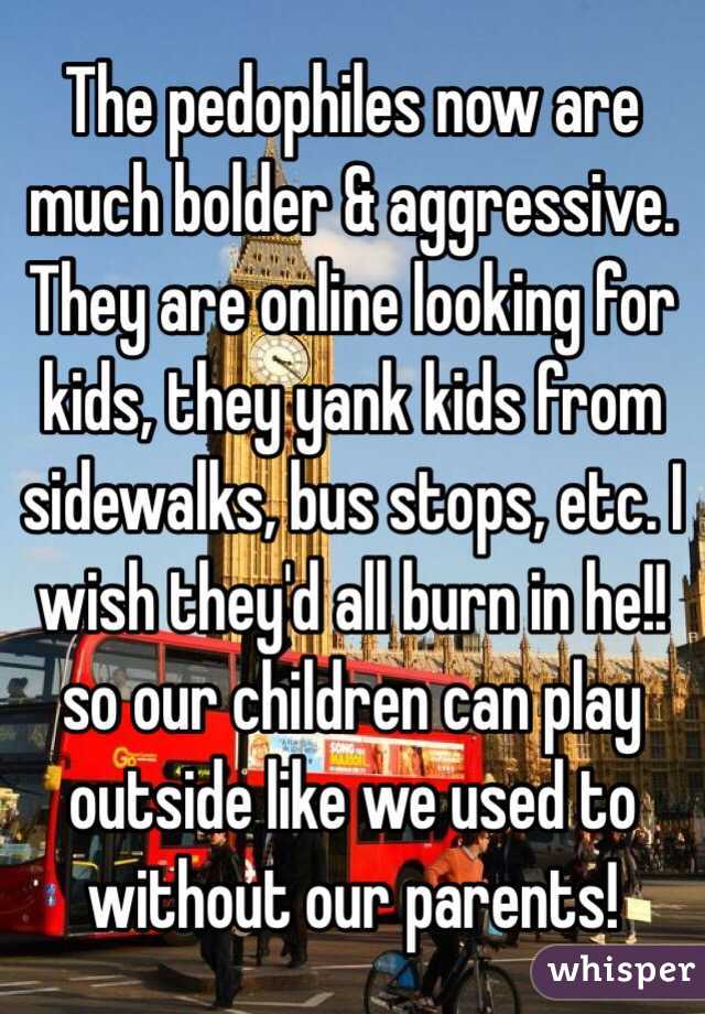 The pedophiles now are much bolder & aggressive. They are online looking for kids, they yank kids from sidewalks, bus stops, etc. I wish they'd all burn in he!! so our children can play outside like we used to without our parents! 