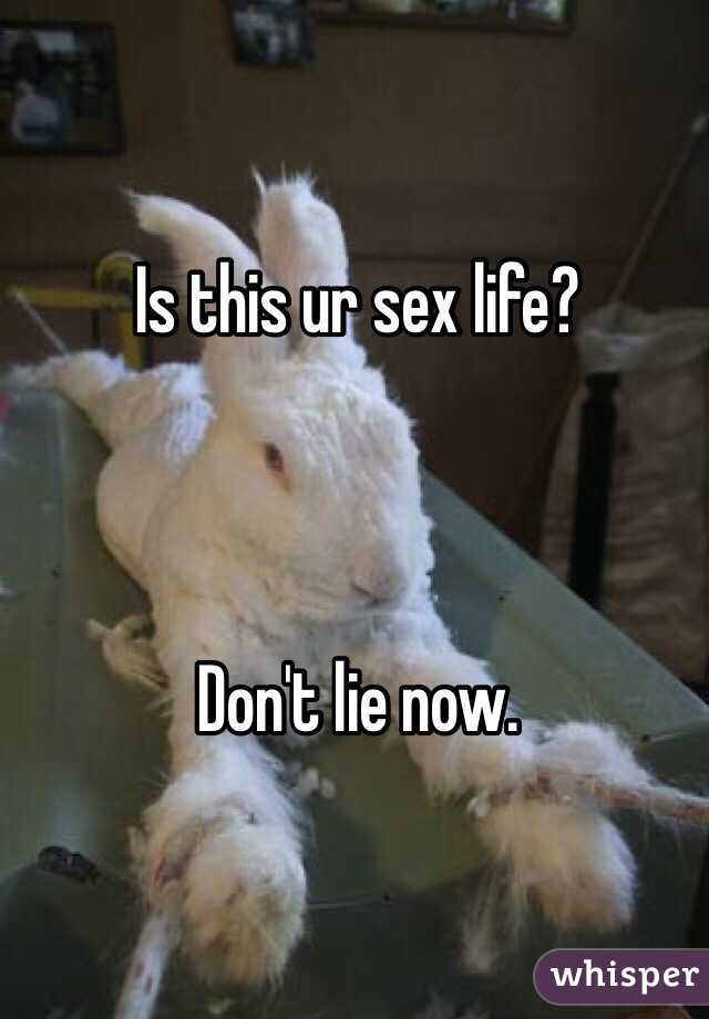 Is this ur sex life? 



Don't lie now. 