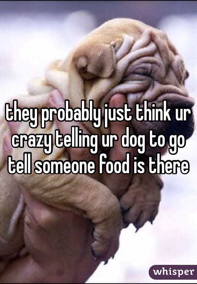 they probably just think ur crazy telling ur dog to go tell someone food is there