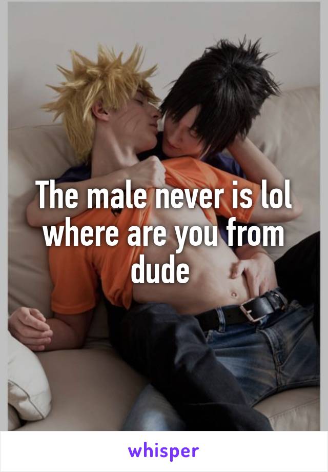 The male never is lol where are you from dude 