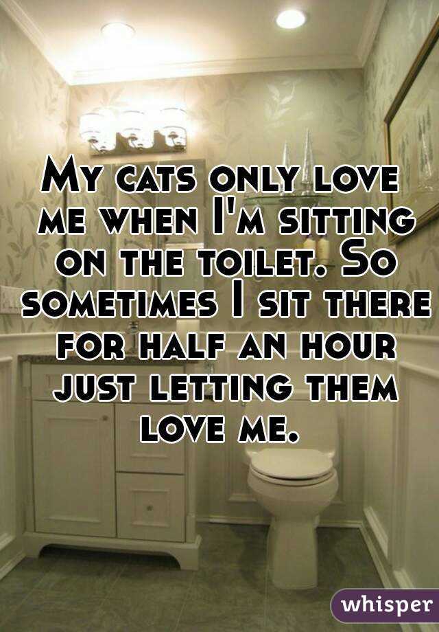 My cats only love me when I'm sitting on the toilet. So sometimes I sit there for half an hour just letting them love me. 