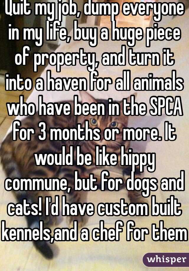 Quit my job, dump everyone in my life, buy a huge piece of property, and turn it into a haven for all animals who have been in the SPCA for 3 months or more. It would be like hippy commune, but for dogs and cats! I'd have custom built kennels,and a chef for them