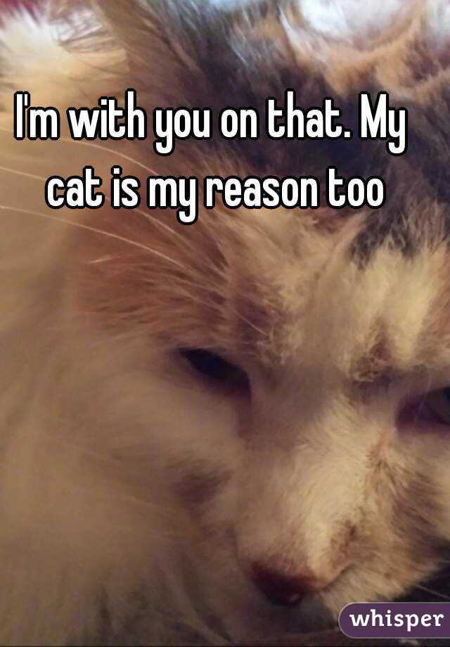 I'm with you on that. My cat is my reason too