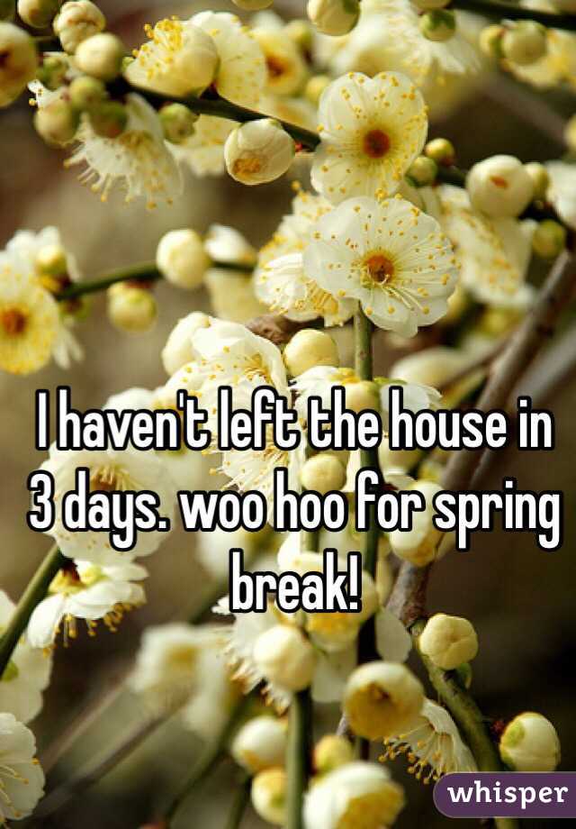 I haven't left the house in 3 days. woo hoo for spring break!