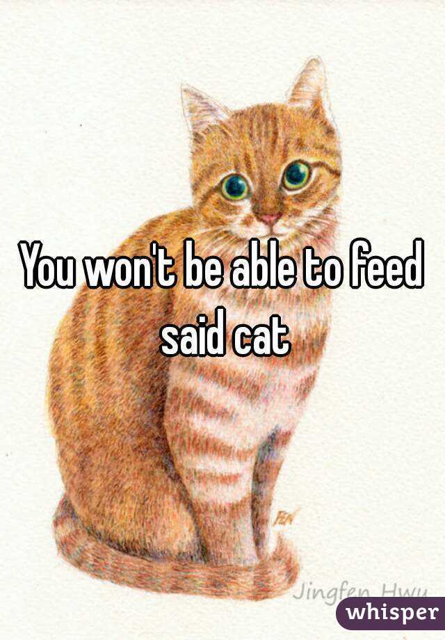 You won't be able to feed said cat