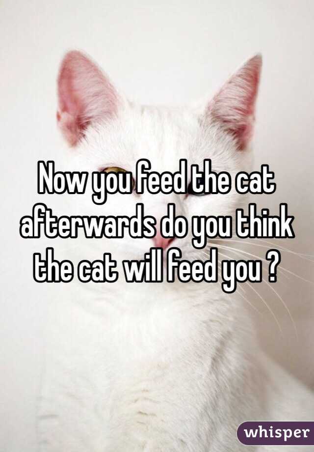 Now you feed the cat afterwards do you think the cat will feed you ?